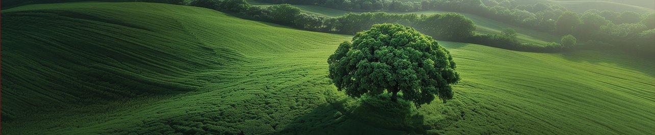 E&L Green